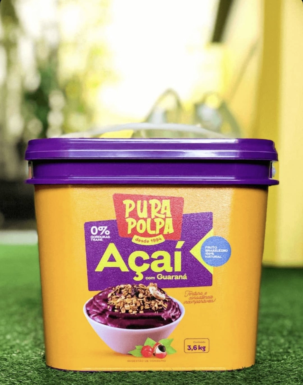 Açaí Pura Polpa